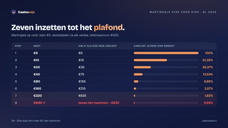 Tabel met Martingale-stappen vanaf €5 tot het tafelmaximum van €500, met totaal verlies en kans per stap